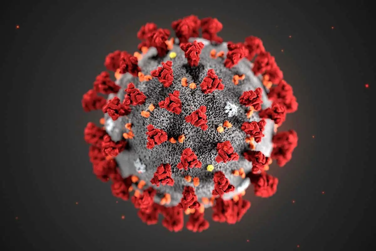 coronavirus image that definitely wasn't just the first image search result :)